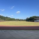 담빛음악당 무료 영화 상영 이미지