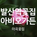아비오가든 이미지