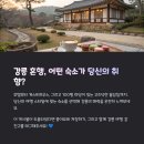 너와게스트하우스
