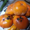 송광보건지소 이미지