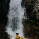 더브루
