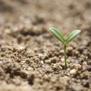 옥천군보건소 건강증진센터 이미지