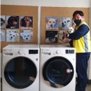 피터팬전자 이미지