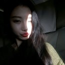 진헤어라인 이미지