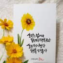 수채 캘리그라피 이미지