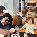 세진세탁소 | 23개월 아기랑 다낭/호이안 여행 3일차 : 다낭플레이라운지, 한시장, 콩스파, 반미코티엔, 콩카페, 파...