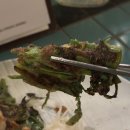 경주이씨 효부각 | 뚝섬역 술집 경주이씨 | 성수 한식 타파스 감성 술집 솔직후기