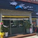 바다바라기 이미지