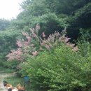 우슬재황토촌 이미지