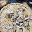 참가자미나라 이미지