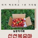 신선농장 이미지