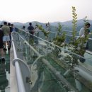 스카이워크(아리힐스) 이미지