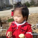 유안농장 이미지