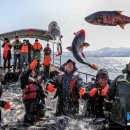 풍어민박 이미지