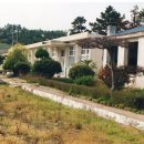 남초등학교 이미지