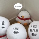 천금다방 | [Diary] 7月(上) : 여름아! 부탁해