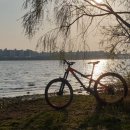 개나리길 이미지