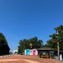 영덕카백화점 | 영덕 숙소 | 바다여행 펜션 | 영덕 맛집 | 경정리해안 | 경정해변 | 영덕 낚시명소 | 영덕 조용한...