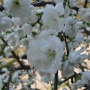 금동농장 이미지