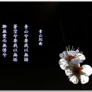 청산별곡 이미지