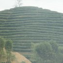산비탈다방 이미지