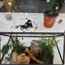 원예 테라리움 이미지