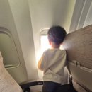 하루산책 | 제주 3박4일 여행 4일차｜아이랑 제주롯데호텔 조식부터 키즈카페, 산책까지 하루 일정 후기