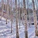 원정농장 이미지