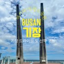 정자정동 | [부산/기장] 일광 숨은 힐링 스팟, 오션뷰와 공룡 발자국의 만남 '신평소공원' 드라이브 코스 추천