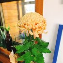 주치골이야기 이미지