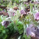 이리여자고등학교 이미지