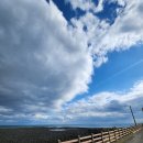 관전로 | 성산맛집 &lt; 청호식당 &gt; 성산일출봉 보며 문어라면