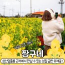 부동산닷컴 네이버블로그