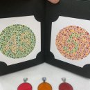 안경나라 불당점 이미지