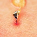 도손한의원 이미지