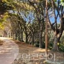 독립공원 공중화장실 이미지