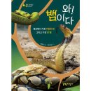 지성사