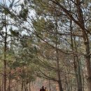 막현리마을 | 근교트레킹 진산성지순례길
