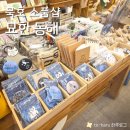 발한로 308-1 | 묵호 유명 소품샵 고양이천국 묵호 필수 코스 기념품 묘한 동해 내돈내산 후기 주차