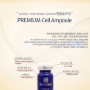 베스트에스지 이미지