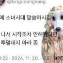강다빈 카카오 검색결과
