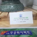 창원팔구부동산공인중개사사무소 이미지