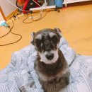 수봉공원 (인공폭포) 이미지