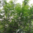 초촌농장 이미지