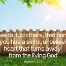 Bible Reading - Hebrews 3:10~19 이미지
