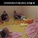 다솔마루 | 요즘 마음대로 돼지가 안아