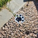 이소리111 멍펜션 이미지