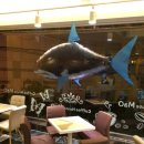 상순이네 하우스 이미지