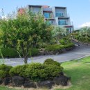 오아시스휴양펜션 이미지