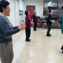 라인댄스3 이미지